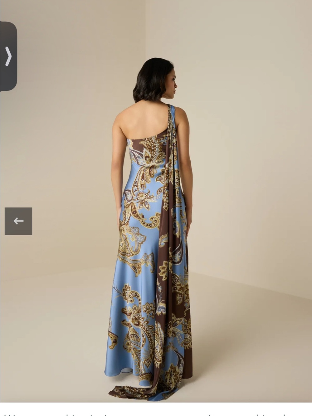 HEMANT & NANDITA One-Shoulder Blue and Brown Paisley Gown - Picture 3 of 7